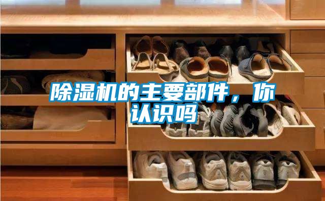 欧美黄色电影在线播放 除湿机的主要部件，你认识吗