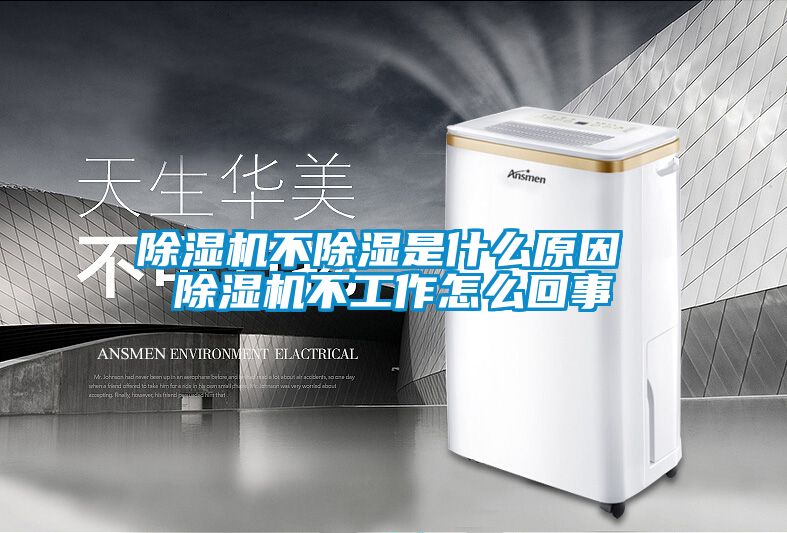 欧美黄色性爱视频网站 除湿机不除湿是什么原因 除湿机不工作怎么回事