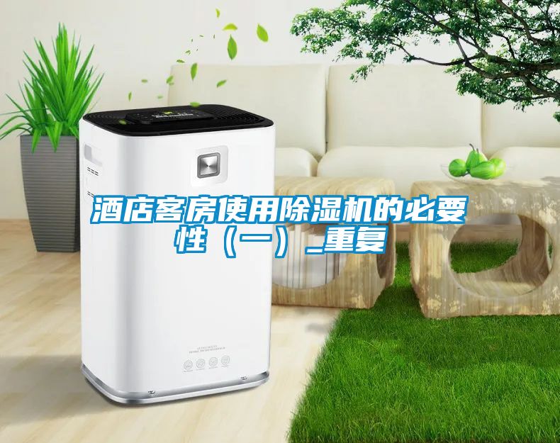 欧美黄色性爱视频网站 酒店客房使用除湿机的必要性（一）_重复