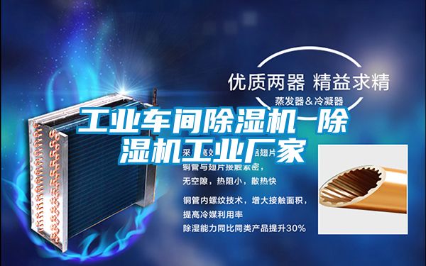 欧美黄色性爱视频网站 工业车间除湿机 除湿机工业厂家