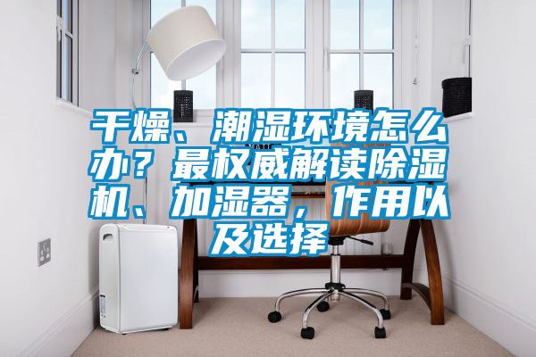 欧美黄色电影在线播放 干燥、潮湿环境怎么办？最权威解读除湿机、加湿器，作用以及选择