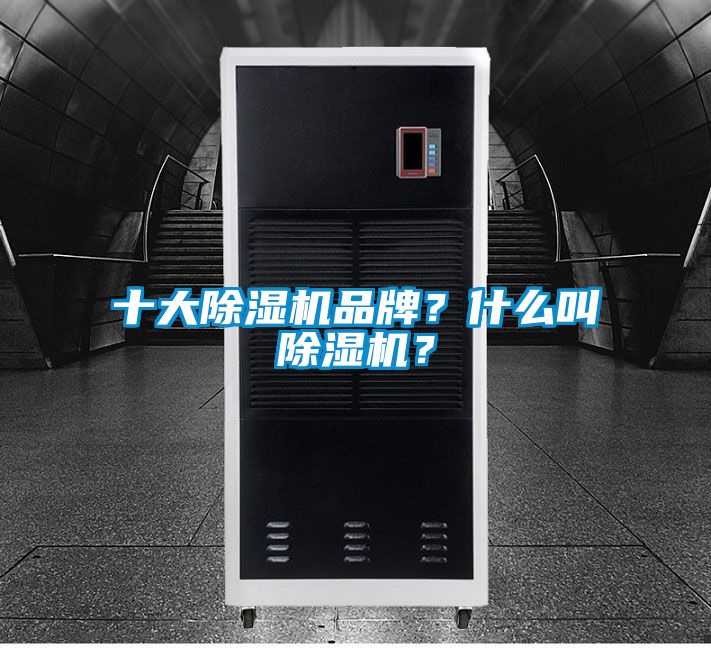 欧美黄色性爱视频网站 十大除湿机品牌？什么叫除湿机？