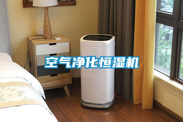 欧美成色手机在线观看 空气净化恒湿机