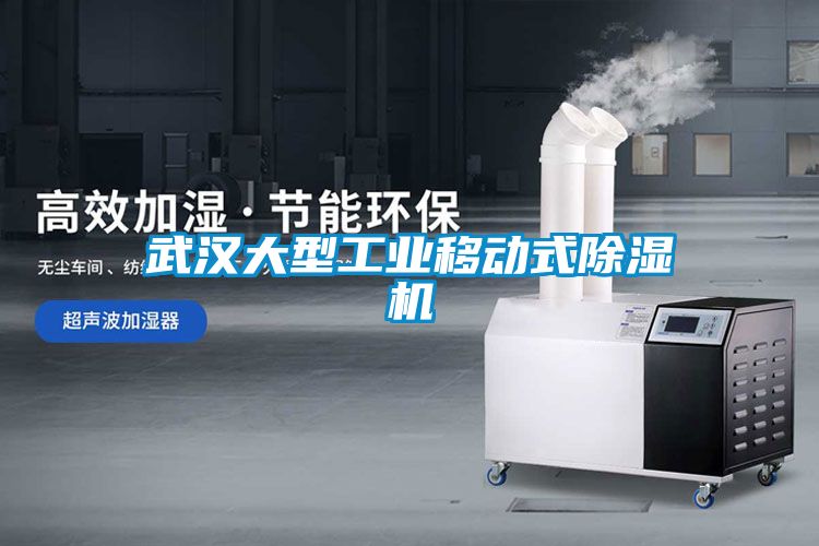 欧美黄色性爱视频网站 武汉大型工业移动式除湿机