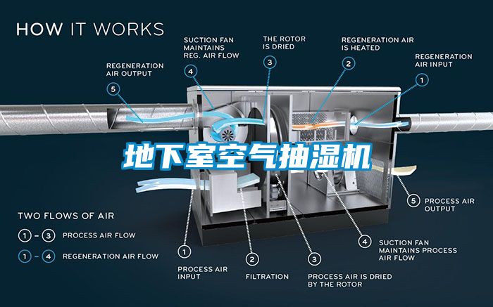 欧美黄色性爱视频网站 地下室空气抽湿机