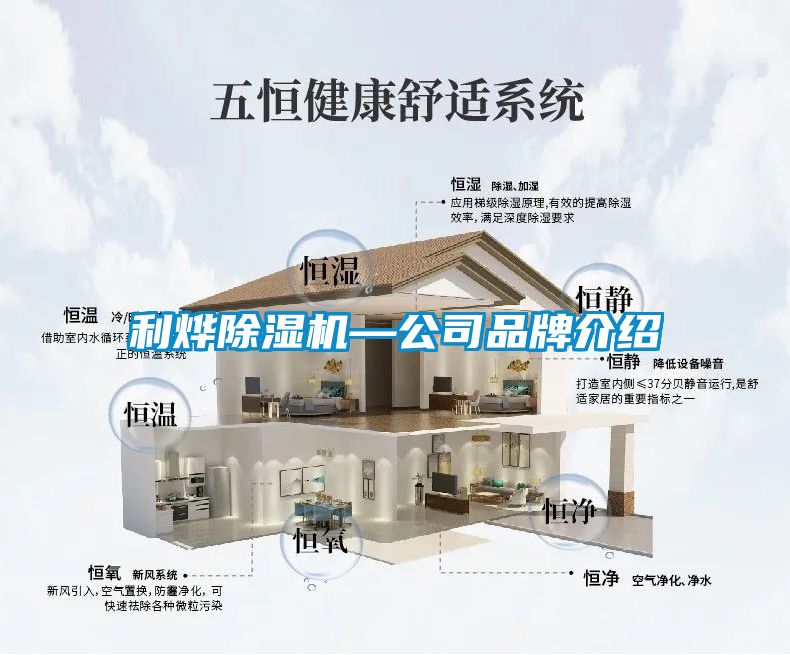 欧美黄色电影在线播放 利烨除湿机—公司品牌介绍