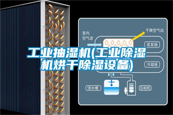 欧美成色手机在线观看 工业抽湿机(工业除湿机烘干除湿设备)