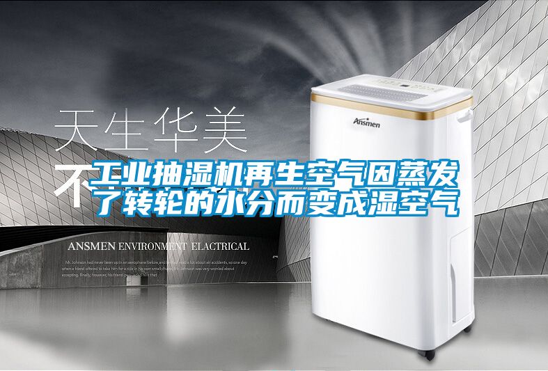 欧美黄色电影在线播放 工业抽湿机再生空气因蒸发了转轮的水分而变成湿空气
