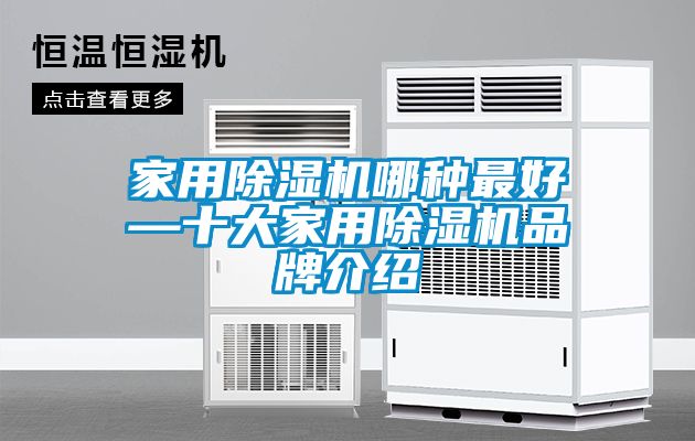 欧美成色手机在线观看 家用除湿机哪种最好—十大家用除湿机品牌介绍