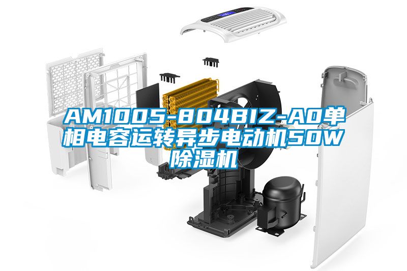 AM1005-804BIZ-A0单相电容运转异步电动机50W除湿机