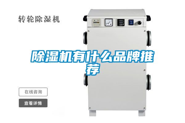 欧美黄色性爱视频网站 除湿机有什么品牌推荐