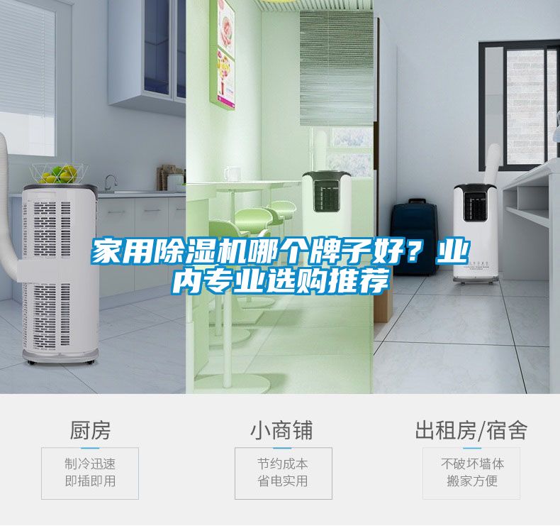 欧美黄色性爱视频网站 家用除湿机哪个牌子好？业内专业选购推荐