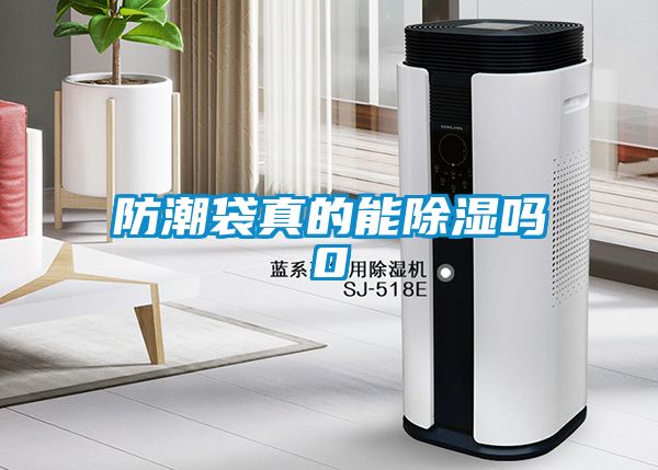 欧美黄色电影在线播放 防潮袋真的能除湿吗0