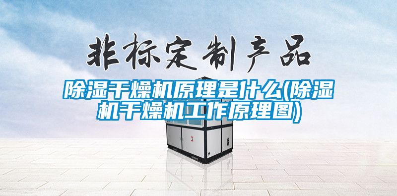 欧美黄色电影在线播放 除湿干燥机原理是什么(除湿机干燥机工作原理图)