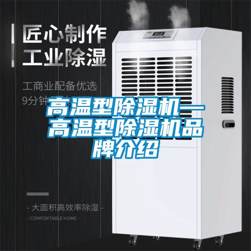 欧美黄色电影在线播放 高温型除湿机—高温型除湿机品牌介绍