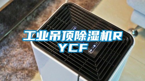 欧美黄色电影在线播放 工业吊顶除湿机RYCF