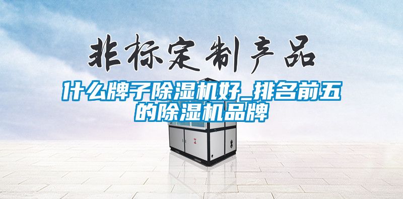 欧美黄色电影在线播放 什么牌子除湿机好_排名前五的除湿机品牌