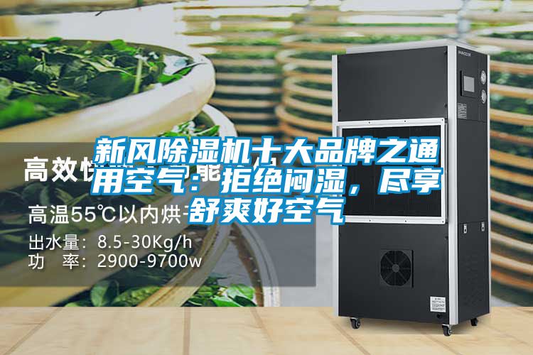 欧美成色手机在线观看 新风除湿机十大品牌之通用空气：拒绝闷湿，尽享舒爽好空气