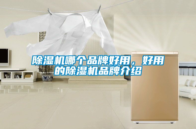 欧美成色手机在线观看 除湿机哪个品牌好用，好用的除湿机品牌介绍