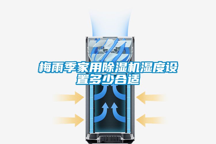 欧美成色手机在线观看 梅雨季家用除湿机湿度设置多少合适