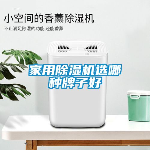 欧美黄色电影在线播放 家用除湿机选哪种牌子好
