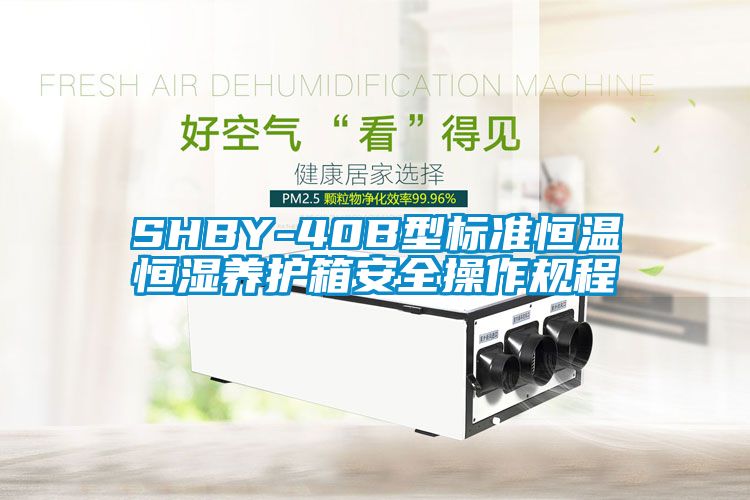 欧美黄色电影在线播放 SHBY-40B型标准恒温恒湿养护箱安全操作规程