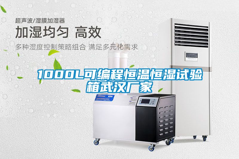 欧美黄色电影在线播放 1000L可编程恒温恒湿试验箱武汉厂家