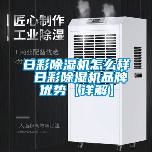 欧美成色手机在线观看 日彩除湿机怎么样 日彩除湿机品牌优势【详解】