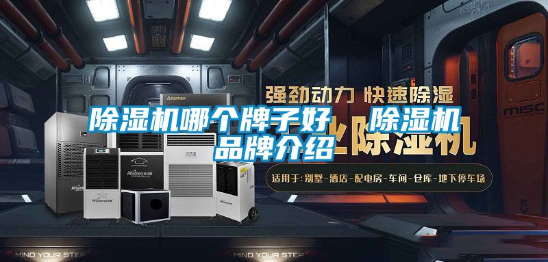 欧美黄色电影在线播放 除湿机哪个牌子好  除湿机品牌介绍