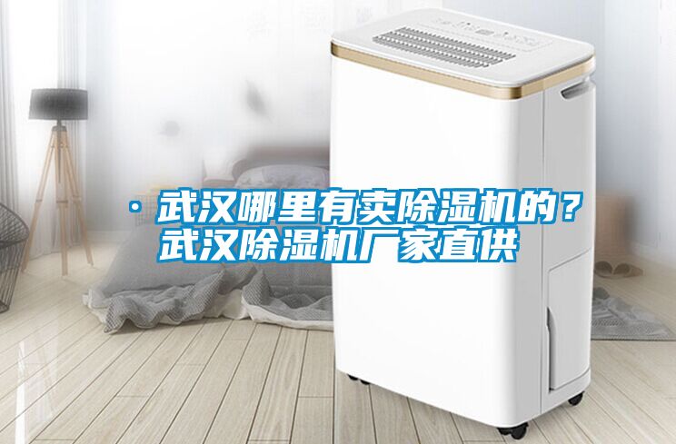 欧美黄色电影在线播放 ·武汉哪里有卖除湿机的？武汉除湿机厂家直供