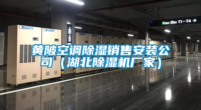 欧美黄色电影在线播放 黄陂空调除湿销售安装公司（湖北除湿机厂家）