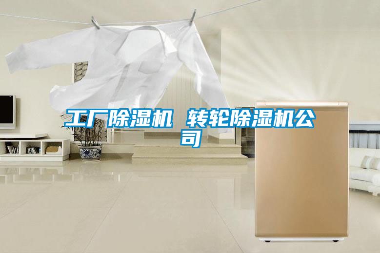 欧美黄色性爱视频网站 工厂除湿机 转轮除湿机公司