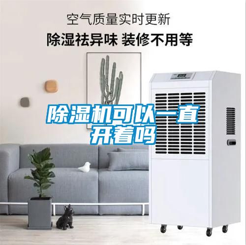 欧美黄色性爱视频网站 除湿机可以一直开着吗