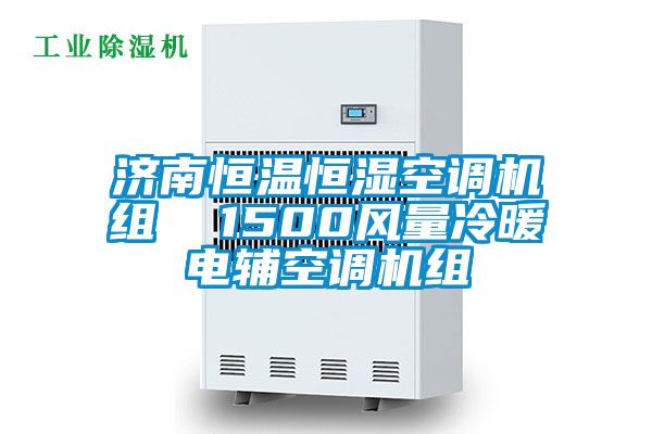 欧美成色手机在线观看 济南恒温恒湿空调机组  1500风量冷暖电辅空调机组