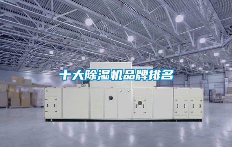 欧美黄色性爱视频网站 十大除湿机品牌排名