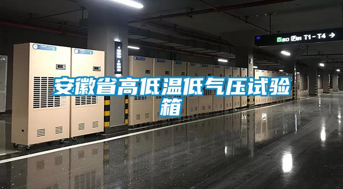 欧美黄色性爱视频网站 安徽省高低温低气压试验箱