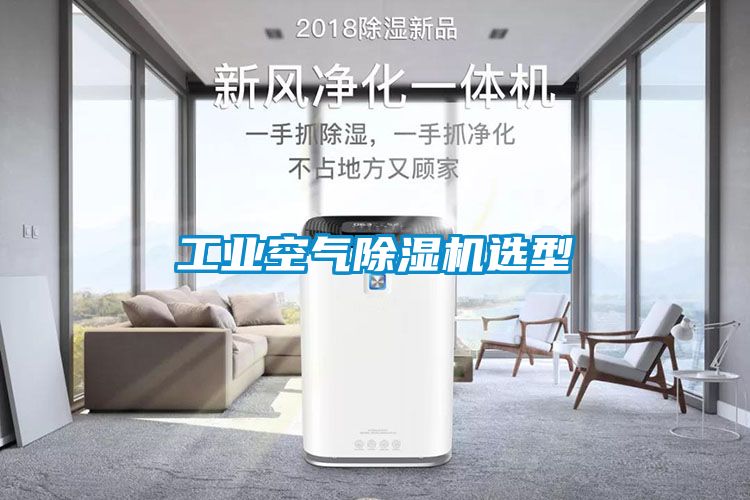 欧美黄色电影在线播放 工业空气除湿机选型
