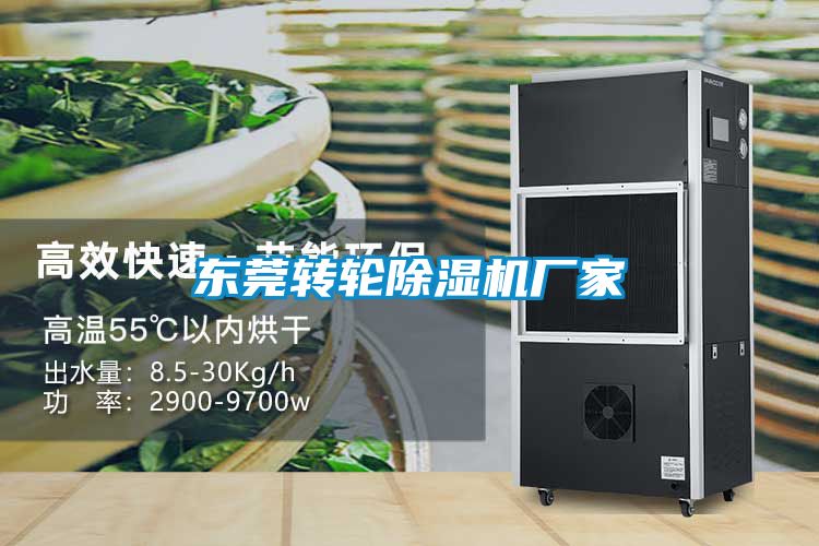 欧美黄色电影在线播放 东莞转轮除湿机厂家