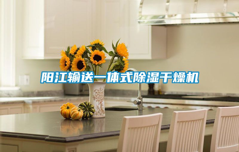 欧美黄色电影在线播放 阳江输送一体式除湿干燥机