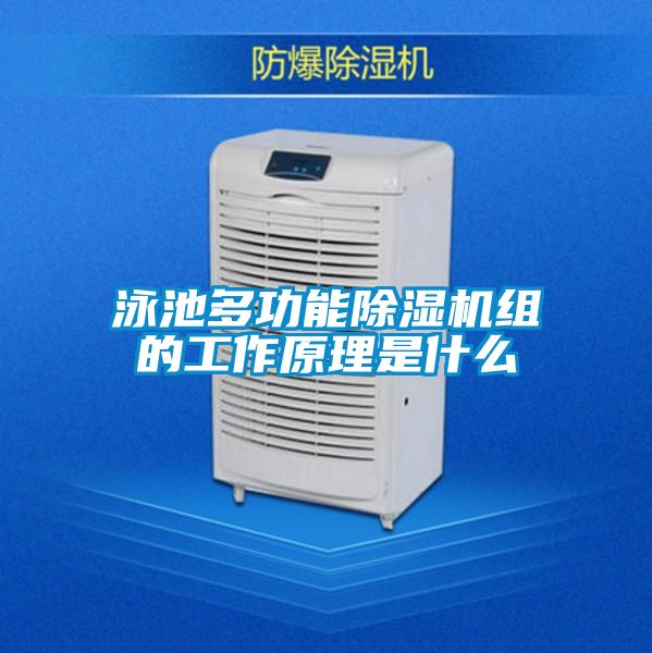 欧美黄色电影在线播放 泳池多功能除湿机组的工作原理是什么