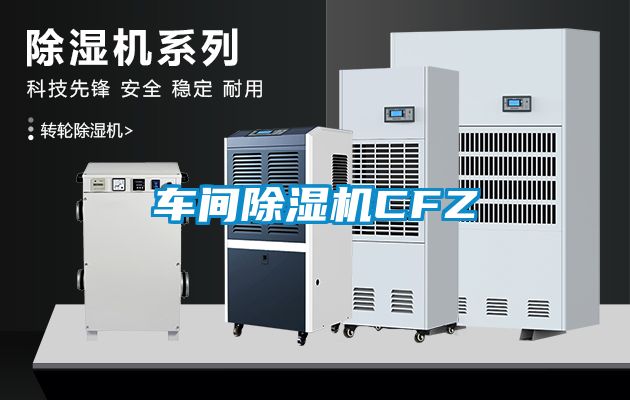 欧美黄色性爱视频网站 车间除湿机CFZ