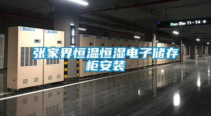 欧美黄色性爱视频网站 张家界恒温恒湿电子储存柜安装