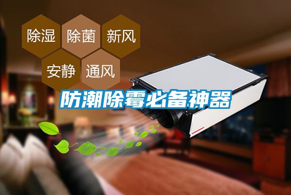 欧美黄色性爱视频网站 防潮除霉必备神器