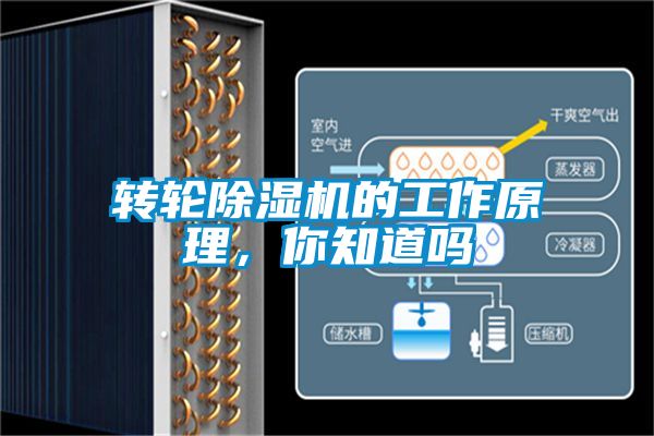 欧美黄色电影在线播放 转轮除湿机的工作原理，你知道吗