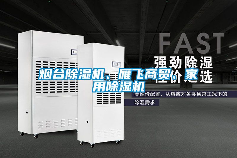 欧美黄色性爱视频网站 烟台除湿机、雁飞商贸、家用除湿机