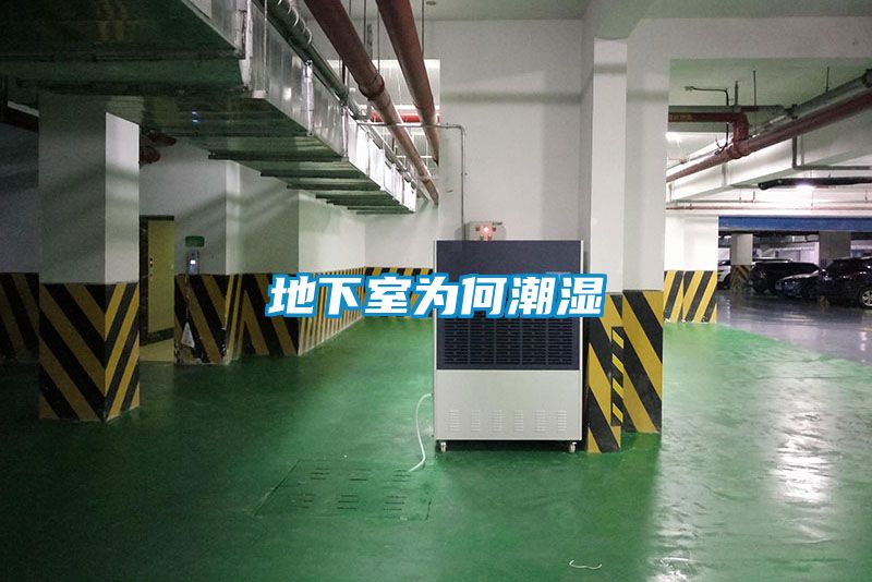 欧美成色手机在线观看 地下室为何潮湿