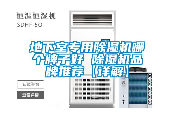 欧美黄色性爱视频网站 地下室专用除湿机哪个牌子好 除湿机品牌推荐【详解】