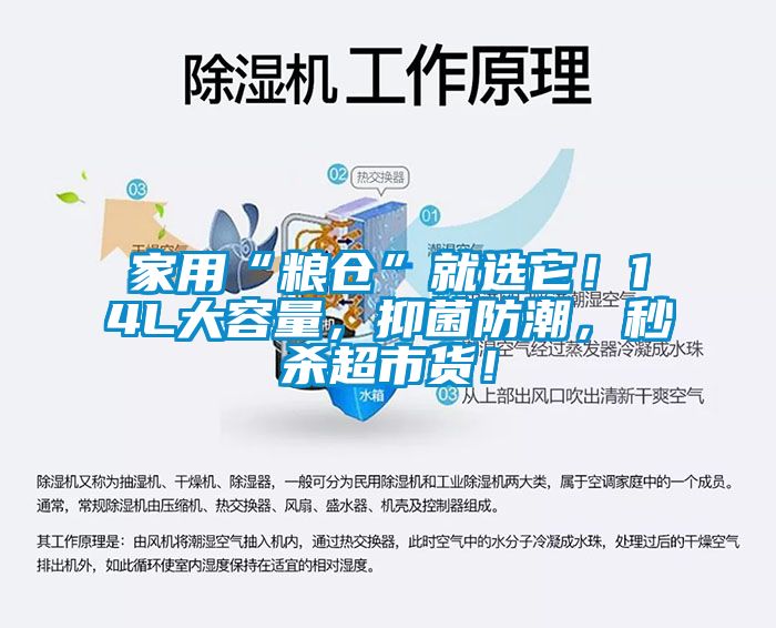 欧美黄色性爱视频网站 家用“粮仓”就选它！14L大容量，抑菌防潮，秒杀超市货！