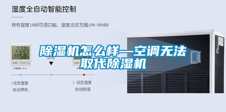 欧美黄色性爱视频网站 除湿机怎么样—空调无法取代除湿机