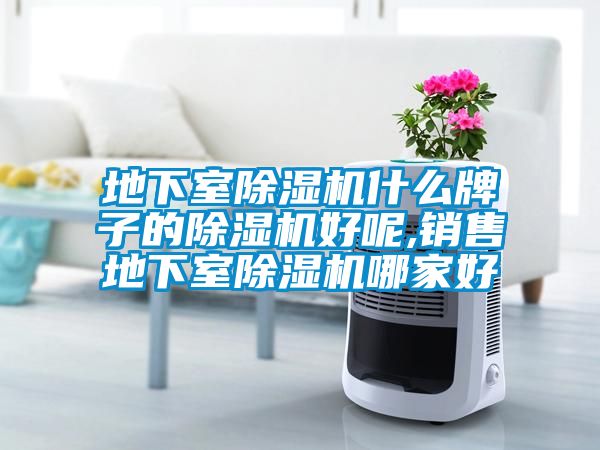 欧美成色手机在线观看 地下室除湿机什么牌子的除湿机好呢,销售地下室除湿机哪家好